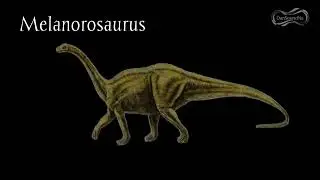 DanSoundNa | Dinosaur Sound - Melanorosaurus