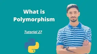 What is Polymorphism