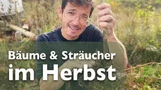 B&auml;ume und Str&auml;ucher im Herbst pflanzen, wurzelnackt - ohne Ballen