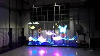 Black background videos played on Transparent LED display