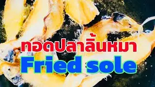 #ทอดปลา ปลาลิ้นหมา #ปลาแห้ง #ปลาทะเล #fried sole #fish #cooking #อาหาร #อร่อย #ฝากกดติดตามด้วยนะครับ