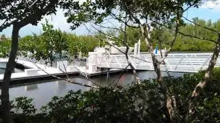 Harbourside Boating