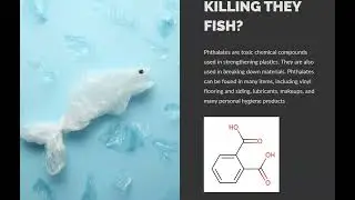 Phthalates