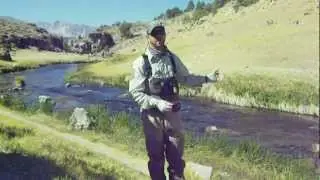 Part 1 DFG Electroshocking Demo on Hot Creek