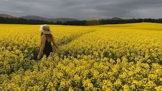 8 Minute Guided Meditation for Deep Relaxation