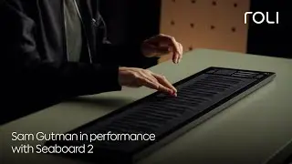 Sam Gutman and Seaboard 2: Creative expression from another dimension