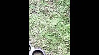 VID 20140710 120227