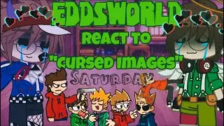 Eddsworld react to Cursed Images (+ 1 ship)