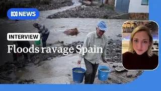 At least 95 killed in devastating flooding in Spain | The World