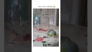 Bruce left no witnesses 😭