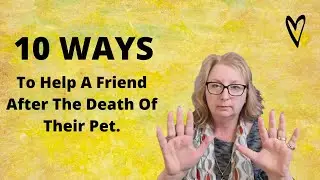 10 Ways To Help A Friend After The Death Of Their Pet