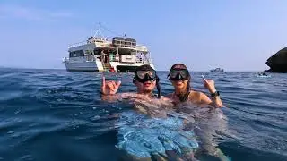 Incredible Maui Whale Watching 2025 | Humpback Whales Up Close