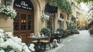 🌸 Spring Street Coffee Jazz ☕🎷 Smooth Jazz Music for City Walks & Cozy Caf&eacute; Moments
