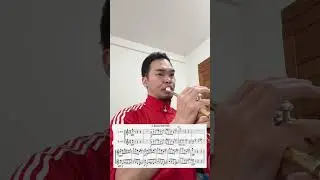 Stravinsky : The Firebird, Suite No. 2: V. Danse infernale（trumpet excerpts) #classicaltrumpet