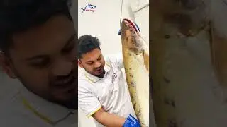 Original Sea Lakka Fish In Fish Vally