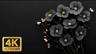 Beautiful Floral Wallpapers | 4K Screensavers | Relax & Inspiration | Luxury Begonia, Bleeding Heart