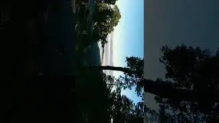 #moralstories #forestsounds #himalayan2022 #video #16october2022