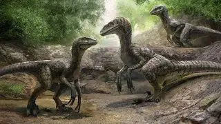 Alpha Raptor Tamen????