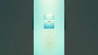 VD12  Two Little Fish ふたりの海