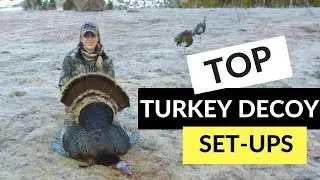 BC Merriam Turkey Decoy Set-ups For Smashing Big Toms