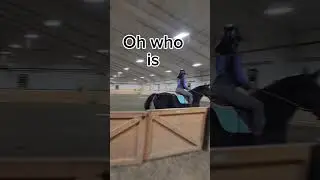 Same outfit different rider (and horse) #horse #horseenthusiast #blowup #equestrian