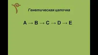 Как интерпретировать генетические цепочки?