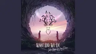 What Did We Do