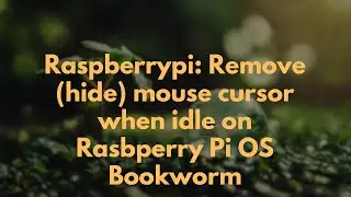 Raspberrypi: Remove (hide) mouse cursor when idle on Rasbperry Pi OS Bookworm