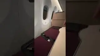 Japan Airlines Business Class Sky Suite