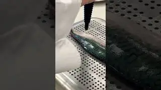 🐠Cooking fish skin with water vapor🐟