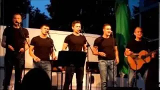 Koncert vokalne skupine Il Divji