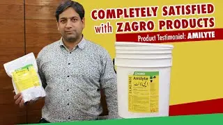 Amilyte Best Nutritional Supplements - Product Testimonial