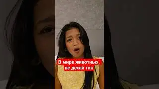 защитник животных 🐾