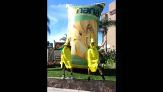 WeBreak | Health Expo Anaheim 2014 | Barnana Jiggy