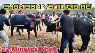 CHAMPION VS TINGIYA ALI || TINGIYA ALI WIN #mohjuj #mohjujrajaofficial #mrblack 
