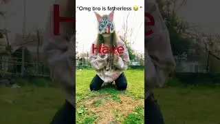 all therians/otherpaws are tired of hearing this #therian #therianthropy #quadrobics
