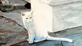 Bossa Nova ( in my kitty) #guitar #original 