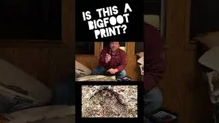 IS THIS A BIGFOOT PRINT ?!??