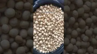 Fast method of cooking Bambara beans #food #cooking #beans #fast #recipe #shorts #video