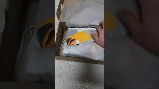 나이키 데이브레이크 타입 노랑 실물! / Nike Daybreak-Type Yellow Unboxing!