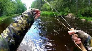 KOLA SALMON SHOOTING EXPERT M1 Тест на реке...