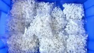 2B Automatic Counting Small Plastic Parts Hardware Screw Washer Packing Machine with Conveyor Belt