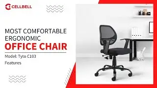 Tyto C103 | Features of Office Chair | Cellbell | WFH