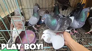 kahit sino AASAWAHIN NIYA!