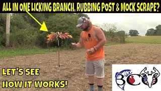 how to setup the buckstik & buckbranch | WILL IT WORK? | bco review |