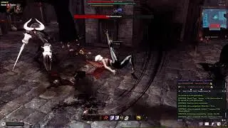 Vindictus; Ainle at steak