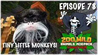 The Tamarin Exhibit - Minecraft SMP: Zoo and Wild Animal (ZAWA) Mod - S3E78