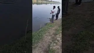 CHAMBAL RIVER FISHING 2025 | BLACK ROHU FISHING #fishing #fish #fishingvideo #teamfisher