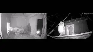 Feb 17 2018 11:25PM Gopher Delivery!