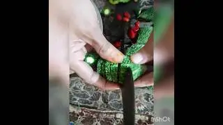 Boti blade Bitter gourd cutting | Boti blade karela cutting #shorts #shortvideo